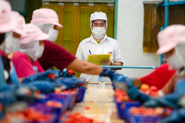 Implementasi ISO 22001 - 12